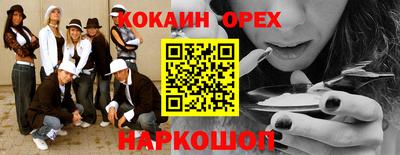 2c-b Кингисепп