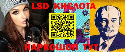 гашик Кимры