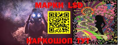 гашик Кимры
