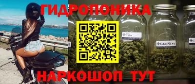 2c-b Кингисепп