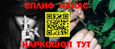 2c-b Кингисепп