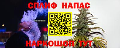 2c-b Кингисепп