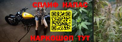 гашик Кимры