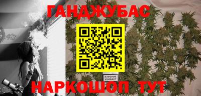 гашик Кимры
