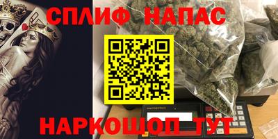 2c-b Кингисепп