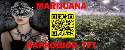 2c-b Кингисепп