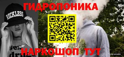гашик Кимры
