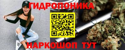 2c-b Кингисепп