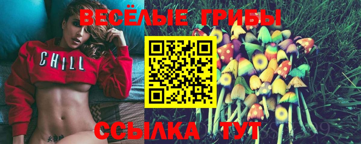 Псилоцибиновые грибы Psilocybine cubensis  Вход с VPN  Тельмана 