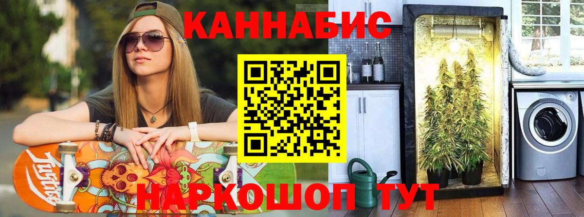 Бошки марихуана марихуана Тельмана
